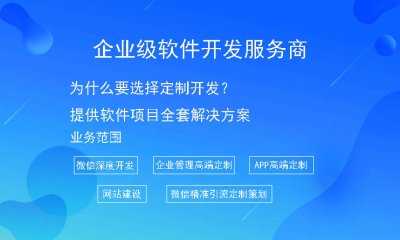 为什么要选择定制开发？