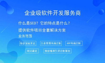 什么是SEO？它的特点是什么？