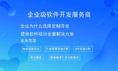 企业为什么选择定制开发