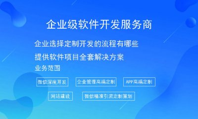 企业选择定制开发的流程有哪些