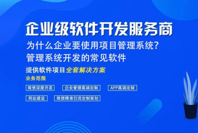 为什么企业要使用项目管理系统？ 管理系统开发的常见软件