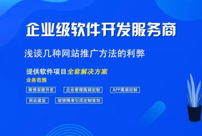 浅谈几种网站推广方法的利弊