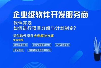 软件开发,如何进行项目分解与计划制定?