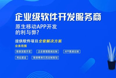 原生移动APP开发的利与弊?