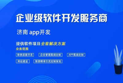 济南 app开发