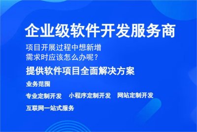 项目开展过程中想新增需求时应该怎么办呢？