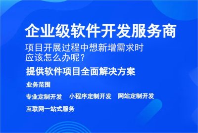 项目开展过程中想新增需求时应该怎么办呢？