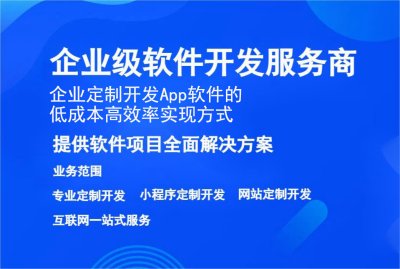 企业定制开发 App软件的低成本高效率实现方式