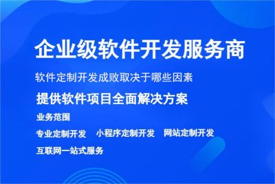 软件定制开发成败取决于哪些因素