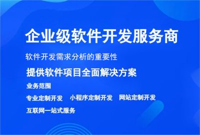 软件开发需求分析的重要性