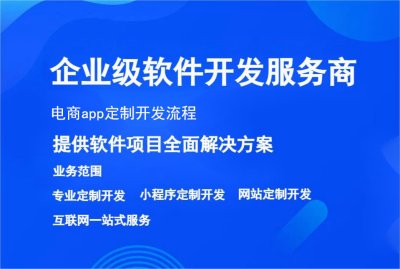 电商app定制开发流程