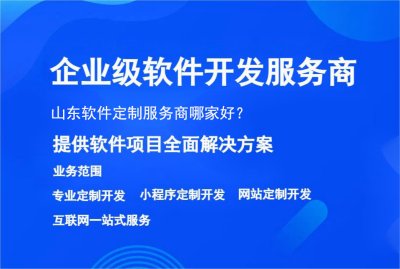 山东软件定制服务商哪家好？